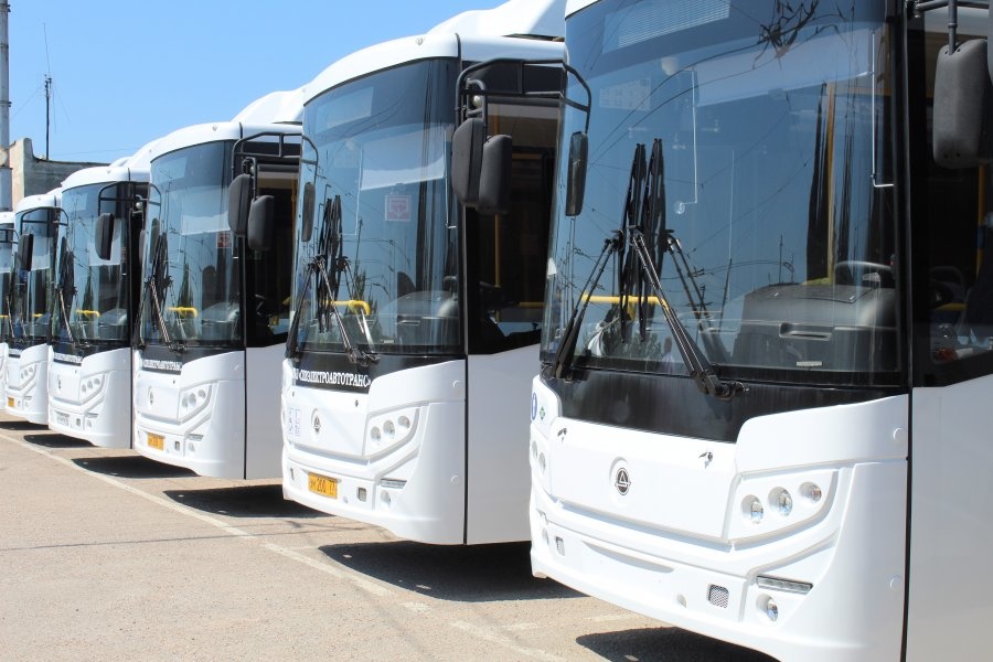 Бесплатный автобус планируют запустить от Ушаковой балки до ближайшего пляжа в Севастополе