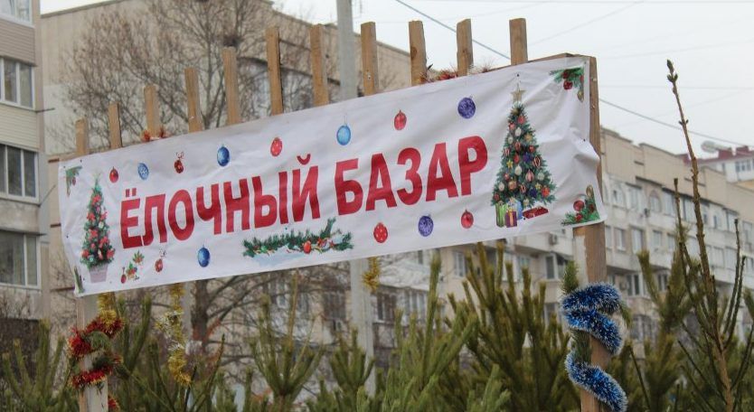 Ёлочные базары Севастополя открываются уже сегодня