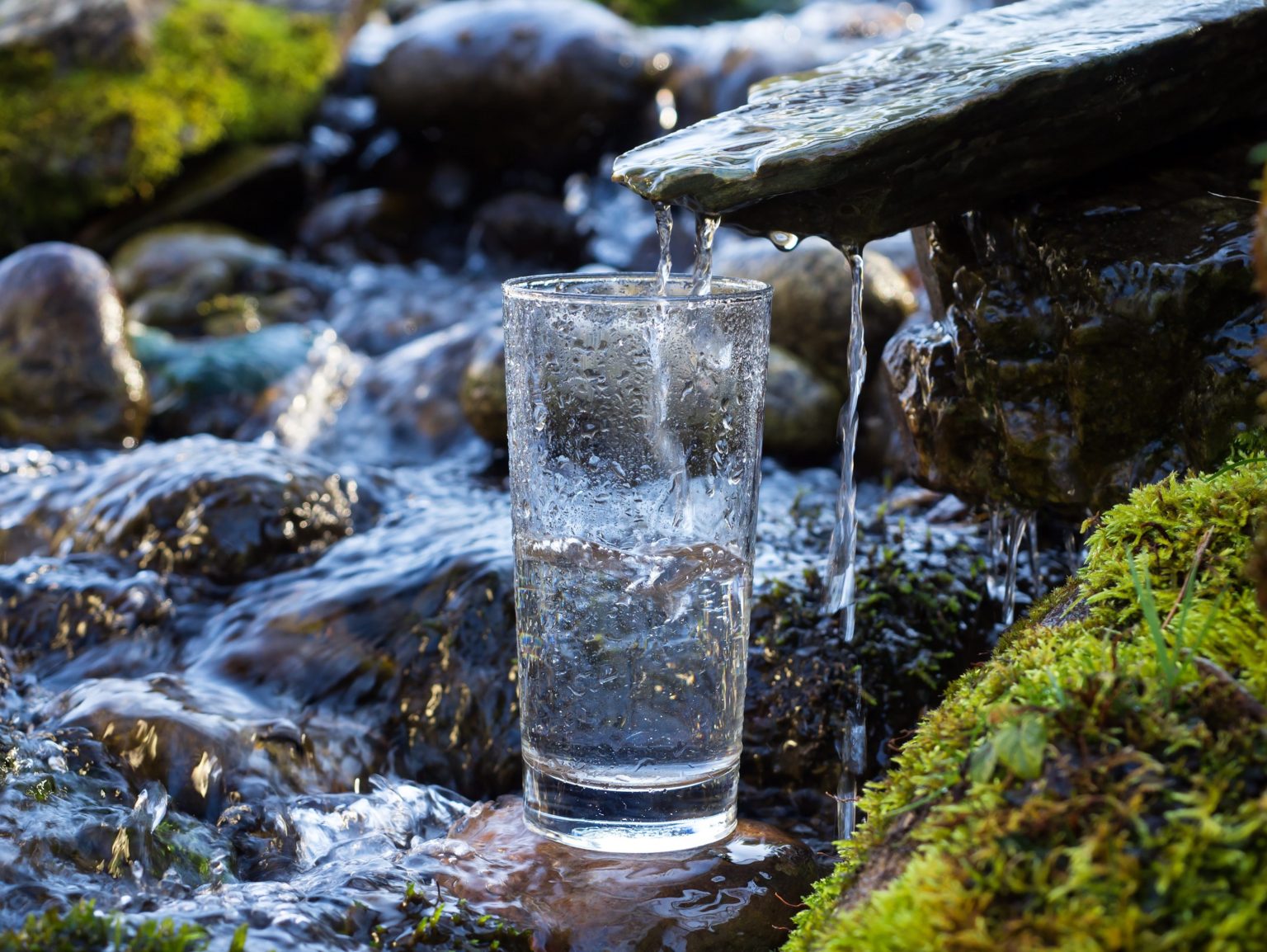 Можно ли пить воду из природных родников в Севастополе?